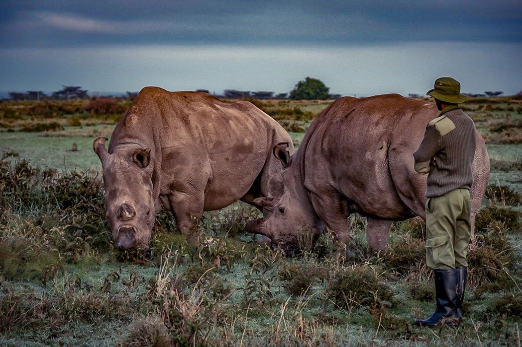S objektivem za nosorožci, foto Janek Polanský