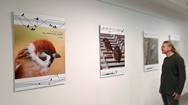 Výstava v Domě hudby